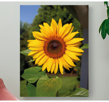 Flowers canvas sunny sunflower bloom - TenStickers