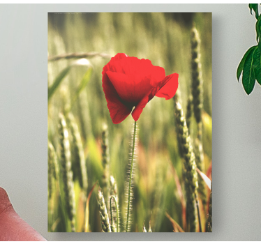 Red flower bloom flowers canvas - TenStickers