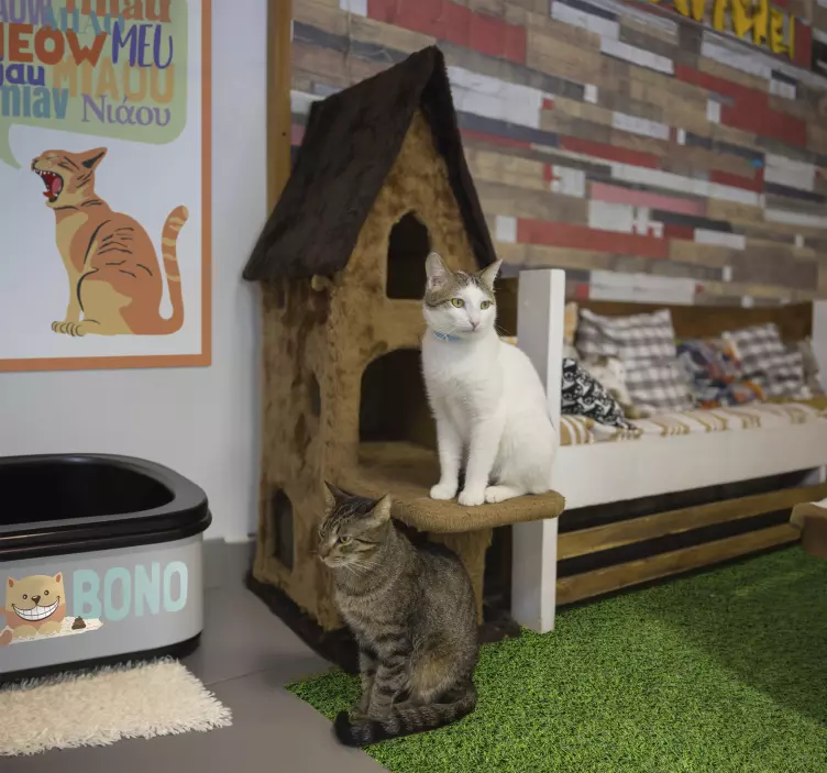 Cat litter box name cat sticker - TenStickers