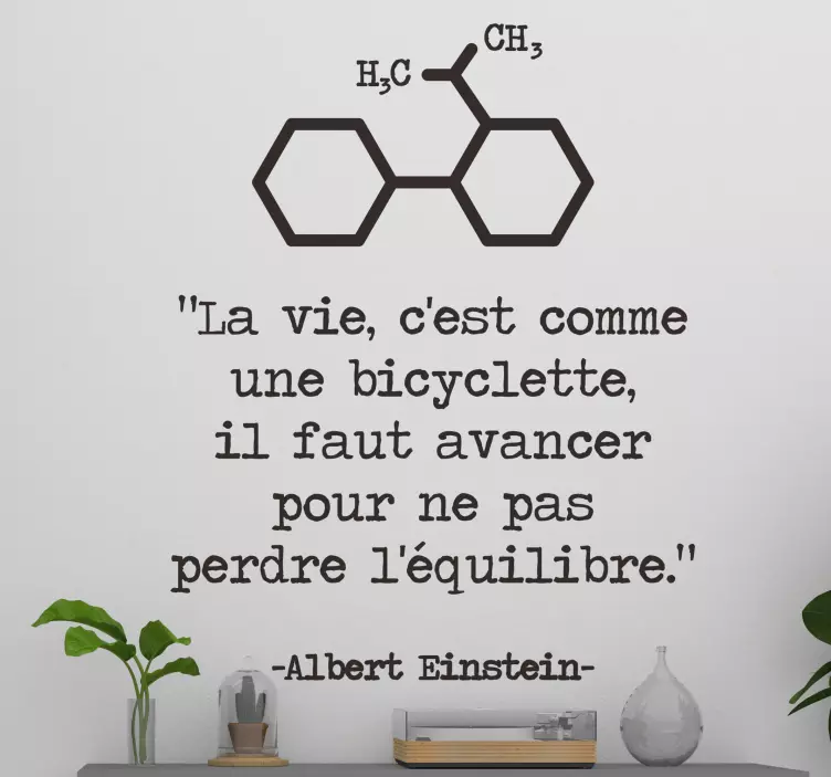 Citation Vie Albert Einstein motivational decal - TenStickers