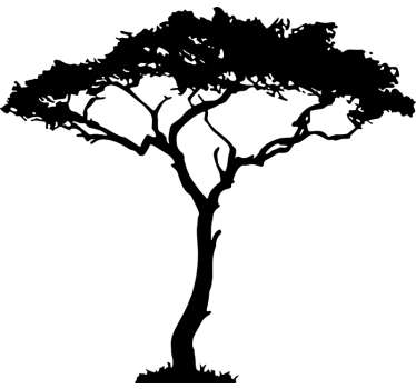 Africa tree tree wall decal - TenStickers