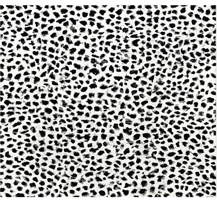 Monochrome Leopard Print dining room vinyl carpet - TenStickers
