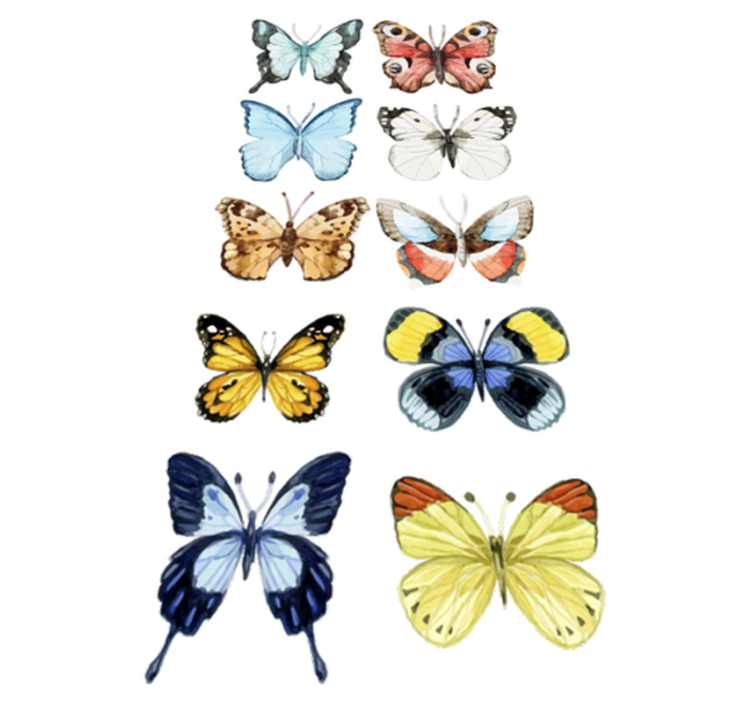 Animal vinyl carpet with ten colorful butterflies - TenStickers
