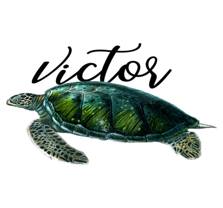 Animal vinyl carpet customizable turtle design - TenStickers