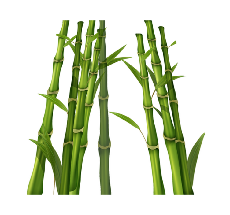 Bathroom vinyl carpet bamboo pattern - TenStickers