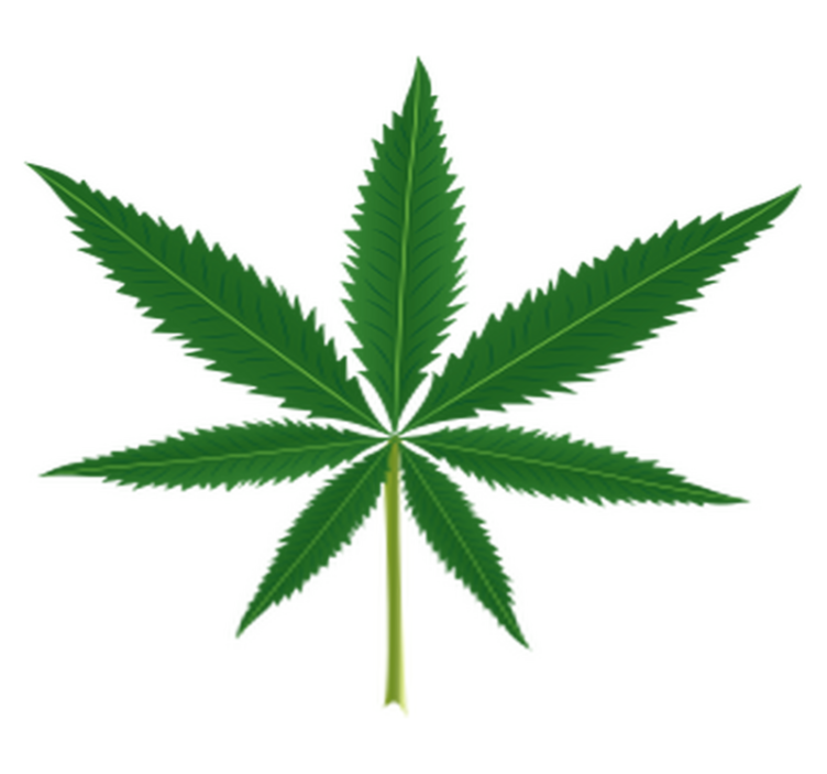 Floral vinyl carpet with marijuana leaf design - TenStickers