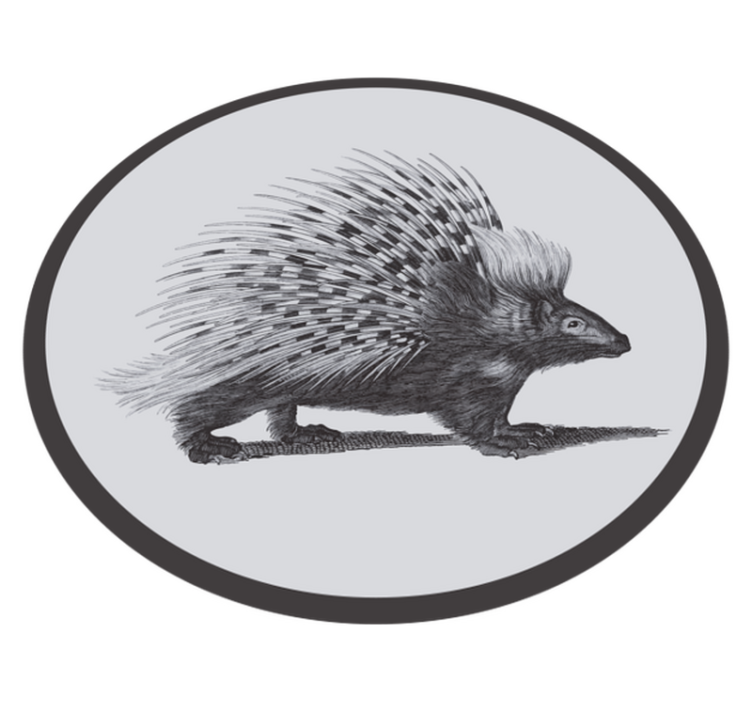 Porcupine Illustration animal vinyl carpet - TenStickers