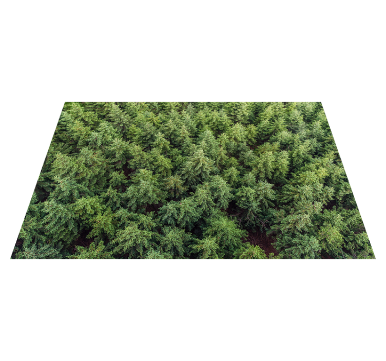 Aerial Forest View nature vinyl carpet - TenStickers