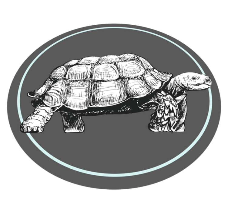 Illustrated Tortoise animal vinyl carpet - TenStickers