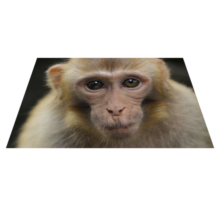 Baby monkey face animal vinyl carpet - TenStickers