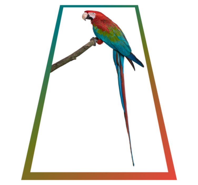 Colorful macaw animal vinyl carpet - TenStickers