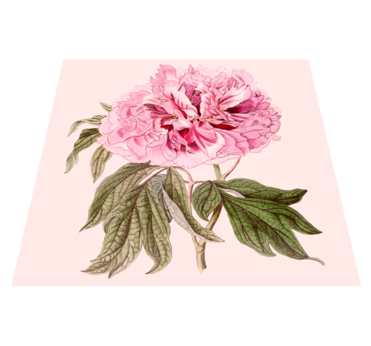 Pink Peony Blossom floral vinyl carpet - TenStickers