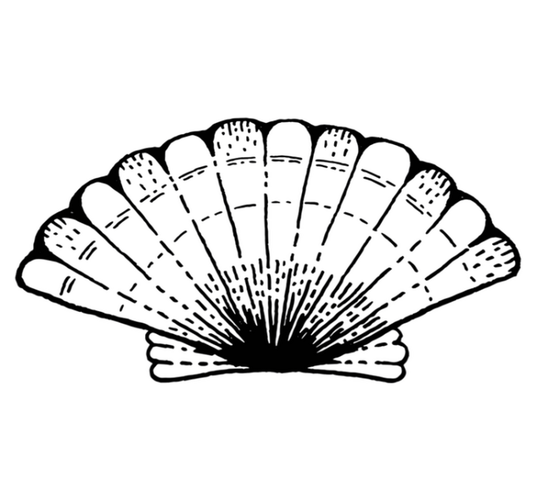 SHELL PATTERNED ACCENT nature vinyl carpet - TenStickers