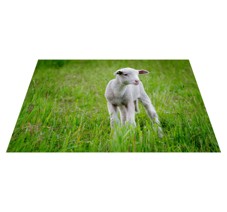Baby lamb standing animal vinyl carpet - TenStickers