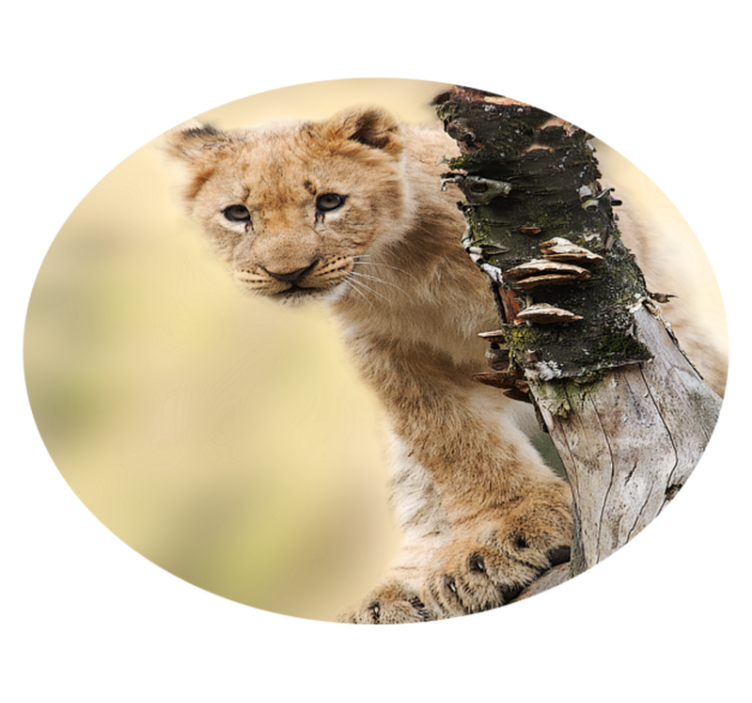 Curious Lion Cub animal print vinyl carpet - TenStickers