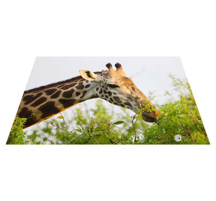Giraffe eating greens animal vinyl carpet - TenStickers