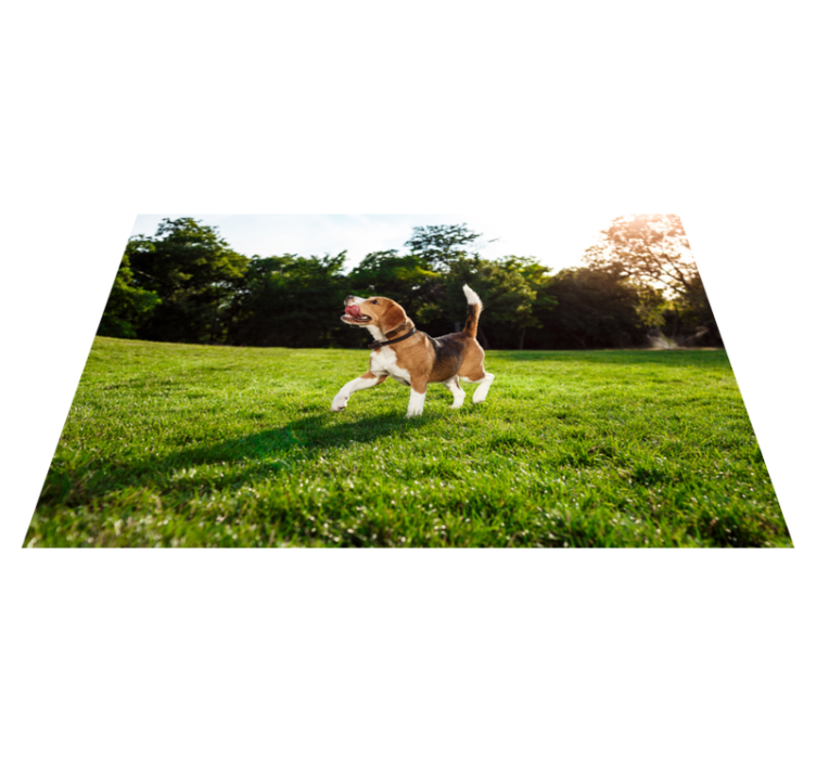 Happy beagle running animal vinyl carpet - TenStickers