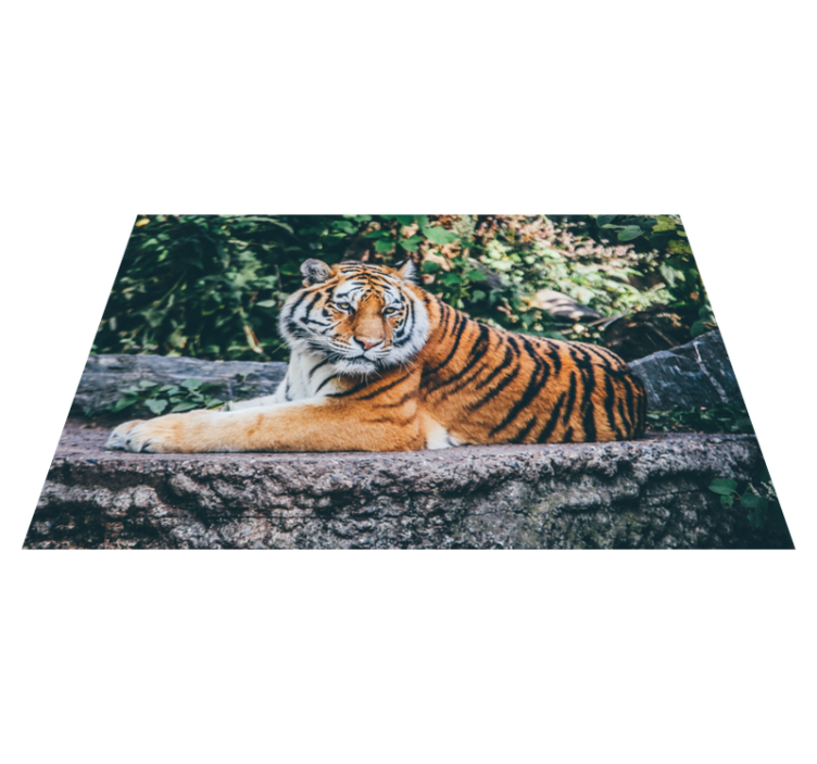 Majestic tiger lying animal vinyl carpet - TenStickers