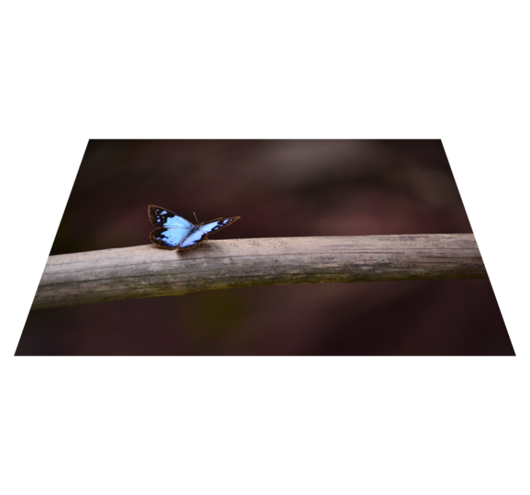 Butterfly on Branch nature vinyl carpet - TenStickers