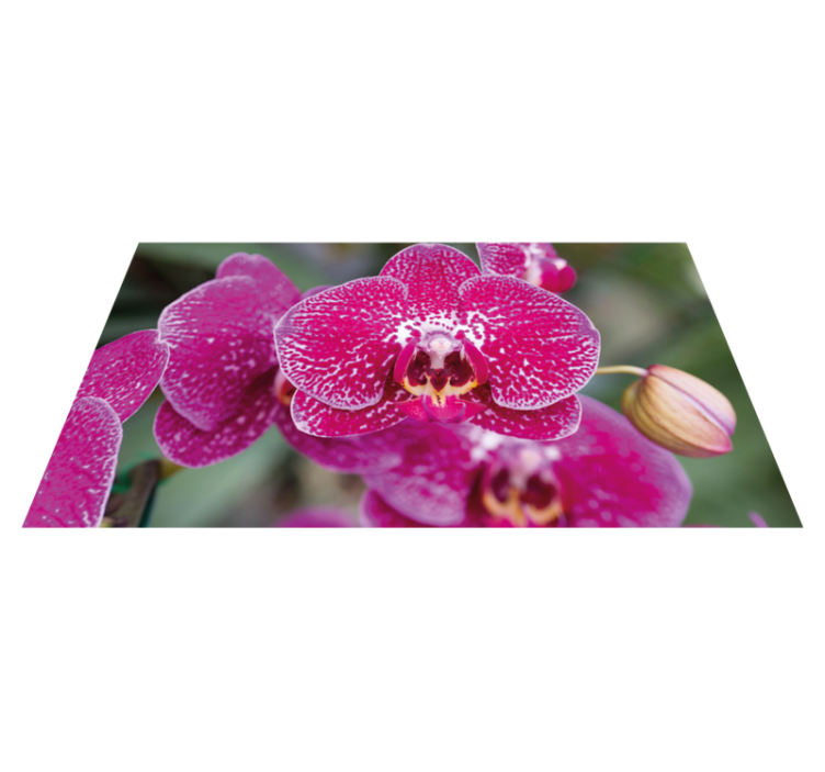Vibrant Orchid Blooms floral vinyl carpet - TenStickers