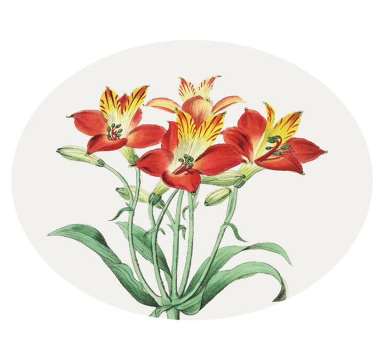 Lively Red Blossoms floral vinyl carpet - TenStickers