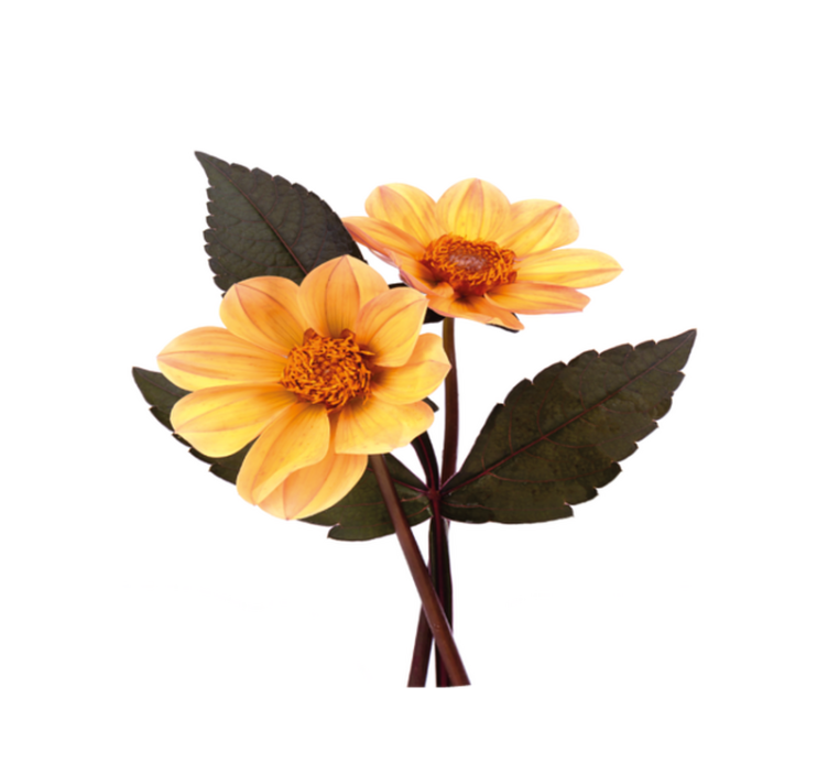 Lively Bloom Composition floral vinyl carpet - TenStickers