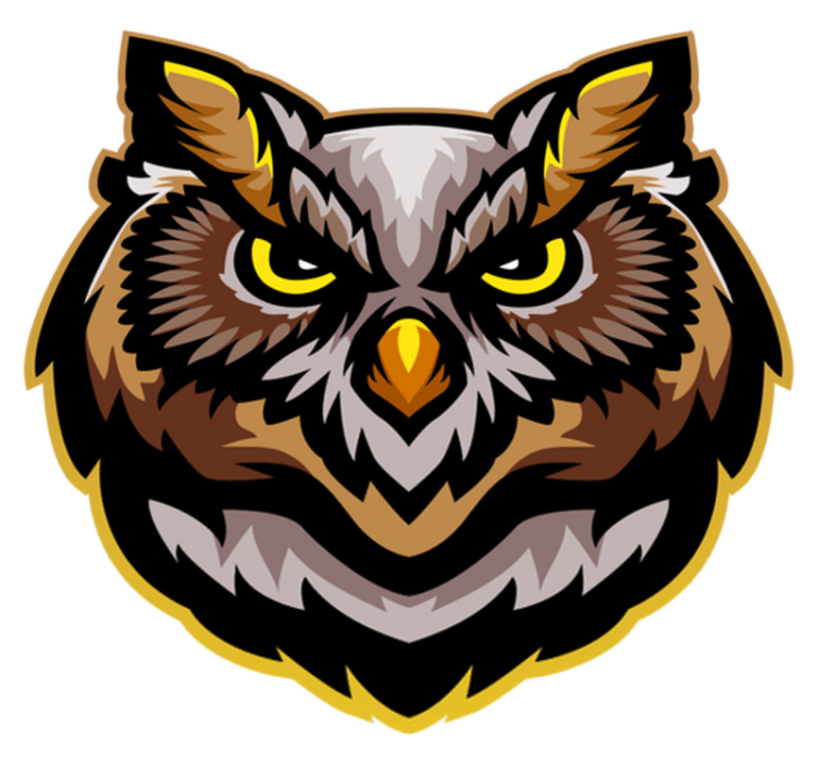 Owl Face Art animal vinyl carpet - TenStickers