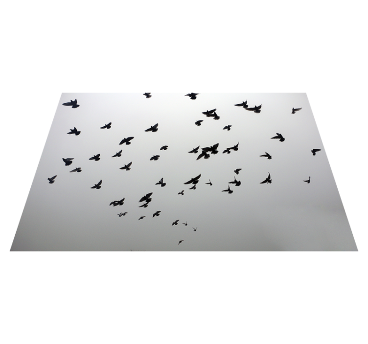 Flying Birds Pattern kids vinyl carpet - TenStickers