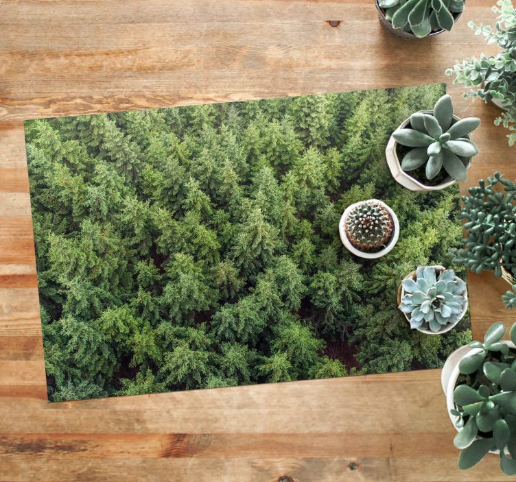 Aerial Forest View nature vinyl carpet - TenStickers
