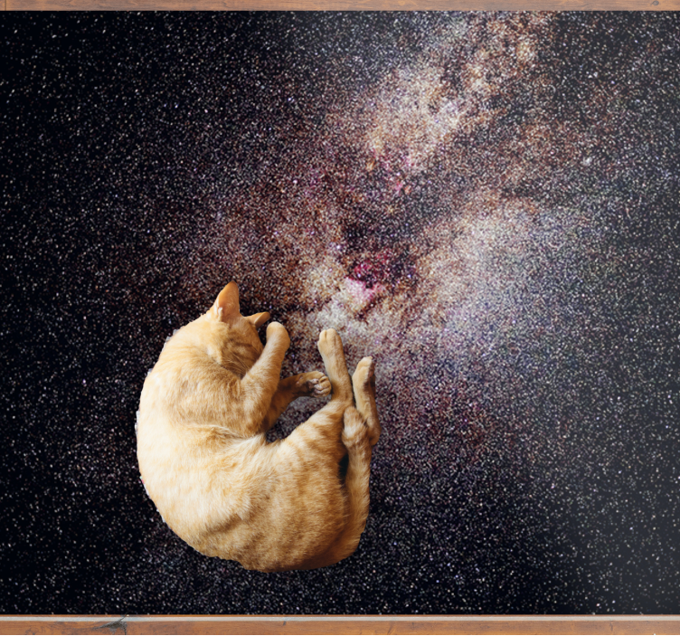 Astral Nightfall bedroom vinyl carpet - TenStickers