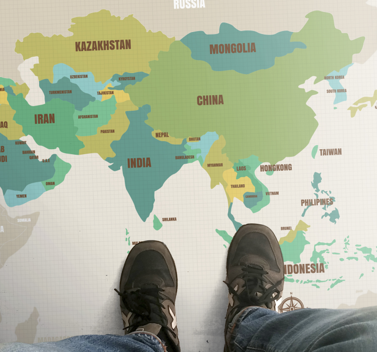 Cartographic Decor world map vinyl carpet - TenStickers