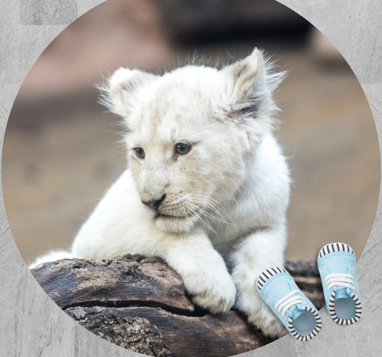 White lion cub animal vinyl carpet - TenStickers