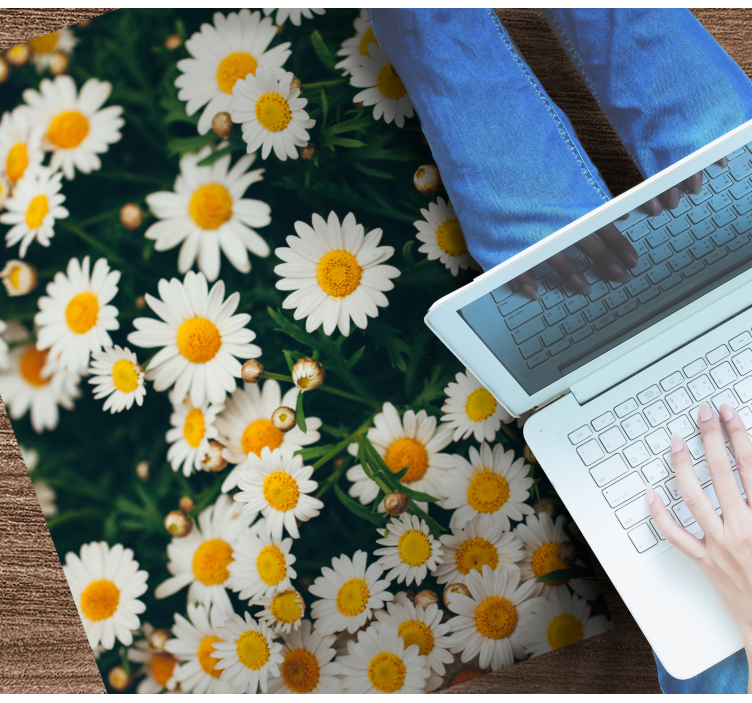 Daisy Flower Illustration floral vinyl carpet - TenStickers