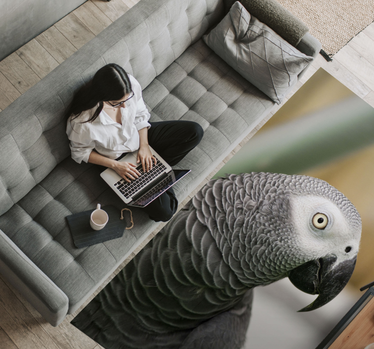 Gray parrot closeup animal vinyl carpet - TenStickers
