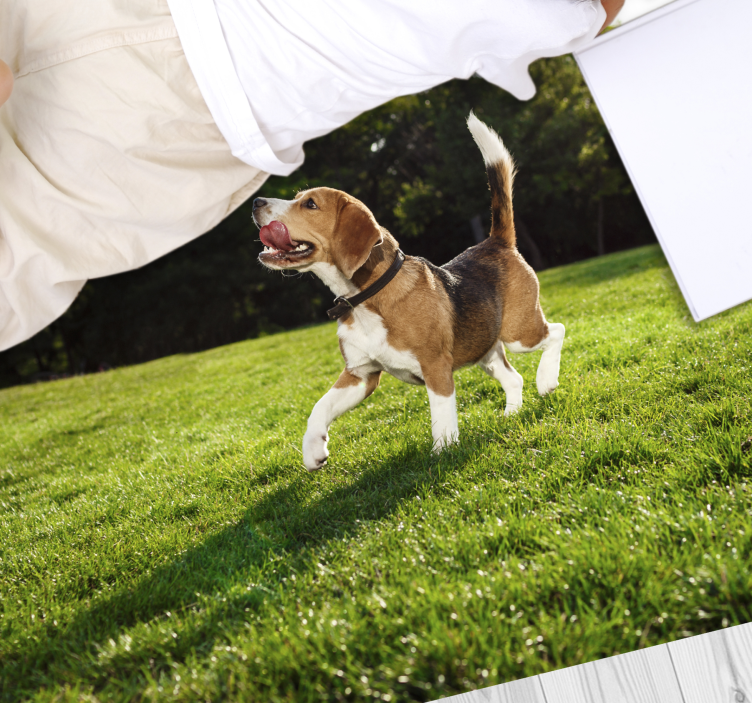 Happy beagle running animal vinyl carpet - TenStickers