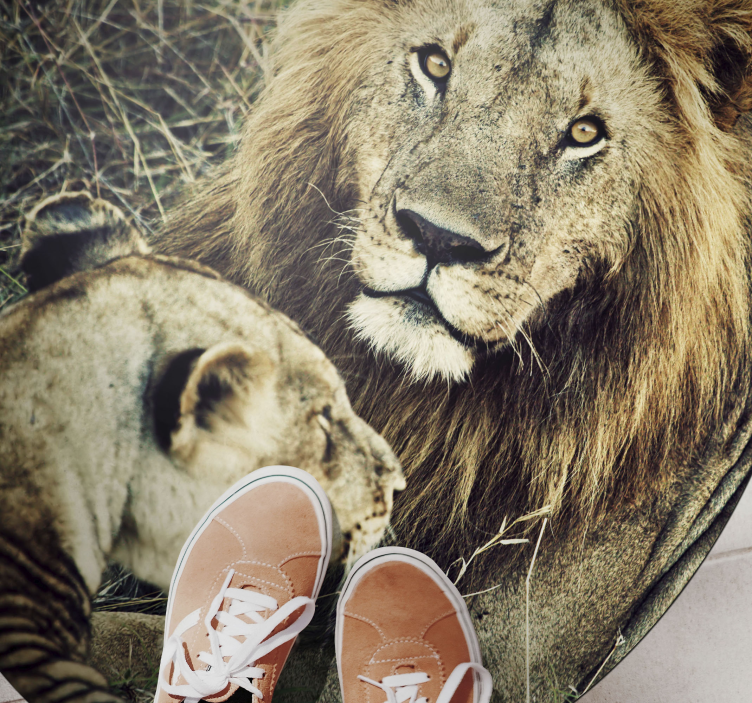 Majestic lion pair animal vinyl carpet - TenStickers