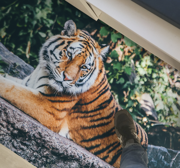 Majestic tiger lying animal vinyl carpet - TenStickers