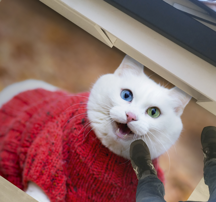 Playful Cat Sweater animal vinyl carpet - TenStickers