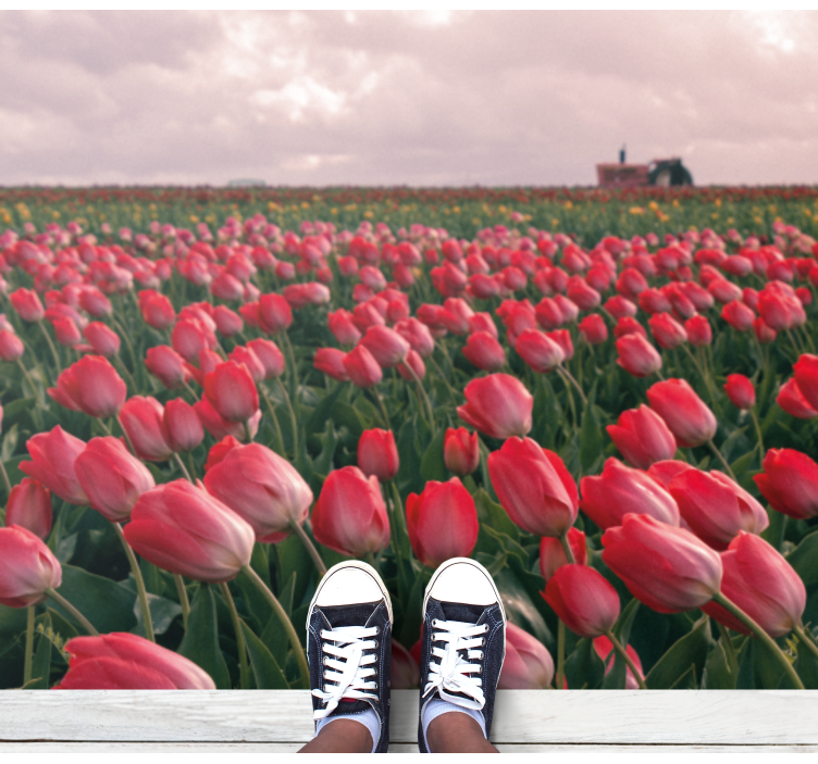 Vibrant Tulip Field nature vinyl carpet - TenStickers