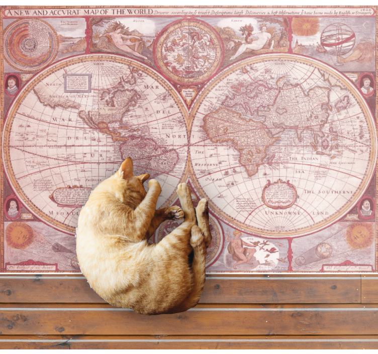 Vintage Globe Chart world map vinyl carpet - TenStickers