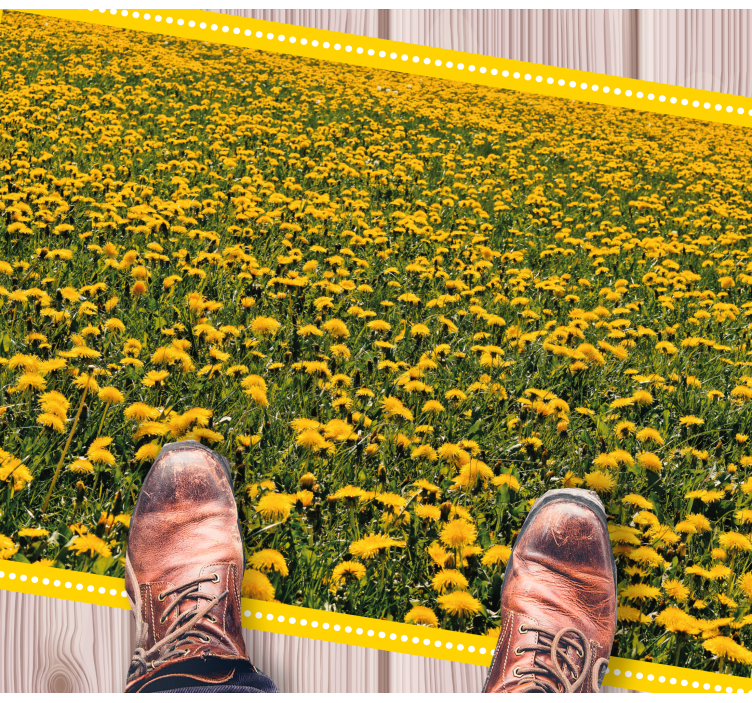 Sunflower field floral vinyl carpet - TenStickers
