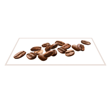 Coffee Bean Trail kitchen vinyl carpet - TenStickers