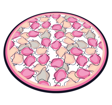 Blush fruit arrangement kitchen vinyl carpet - TenStickers