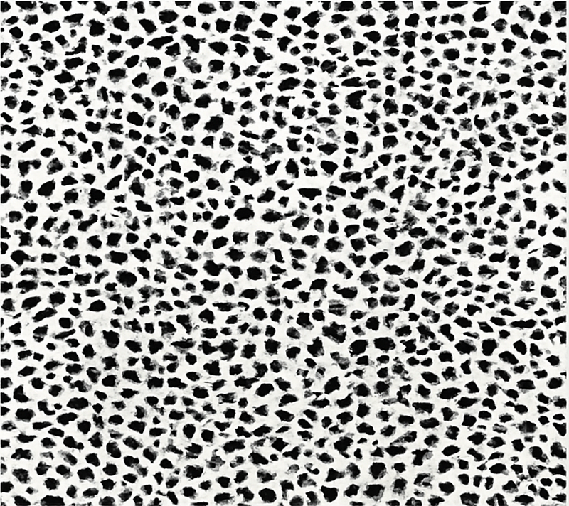 Monochrome Leopard Print dining room vinyl carpet - TenStickers