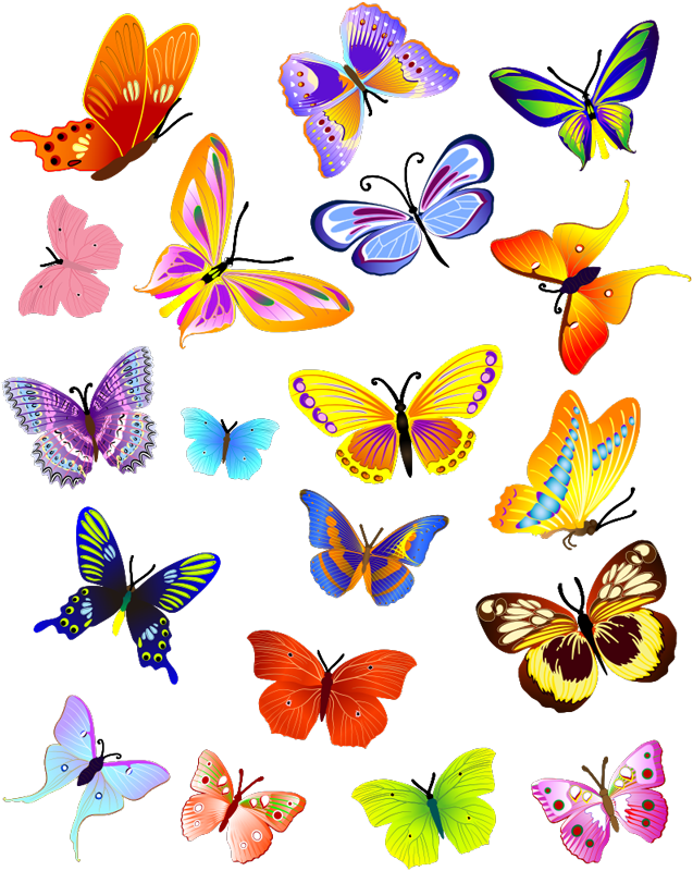Animal vinyl carpet with multicolor flying butterflies - TenStickers