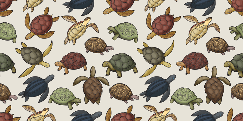 Animal vinyl carpet turtle collection - TenStickers