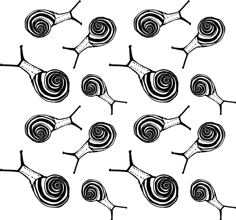 Animal vinyl carpet snail set - TenStickers