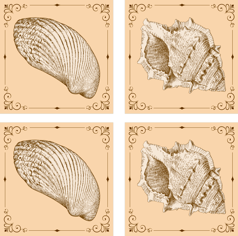 Animal vinyl carpet vintage seashells - TenStickers