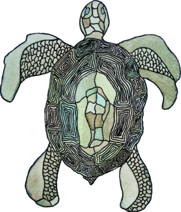 Classic turtle animal vinyl carpet - TenStickers