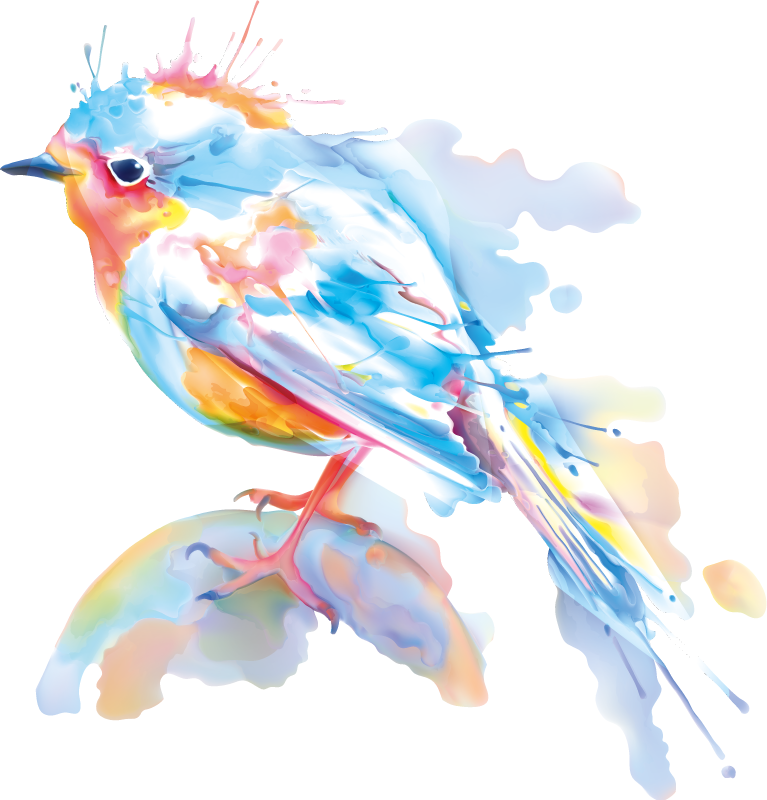 Bird splash animal vinyl carpet - TenStickers